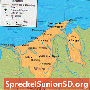 Brunėjaus žemėlapis ir palydovinis vaizdas