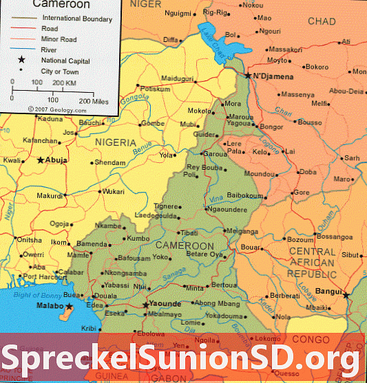 Карта Камеруна и сателитски снимак