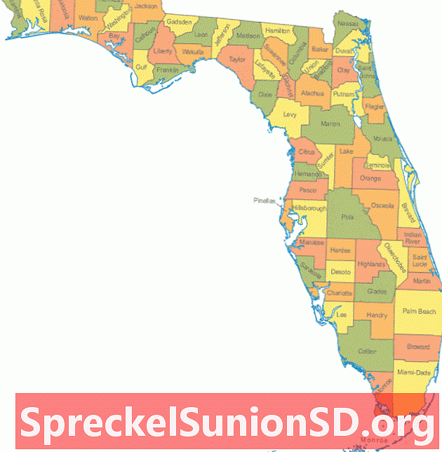 Florida Map Collection