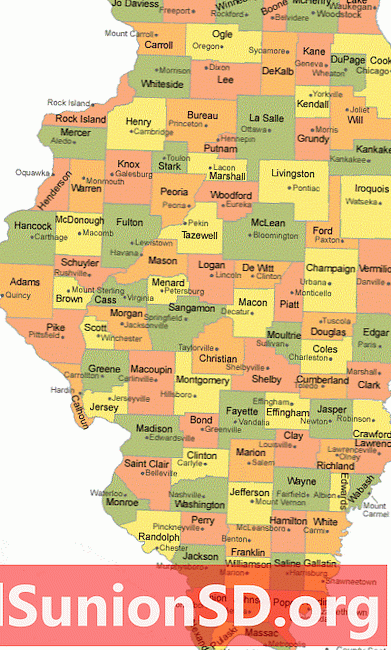 Zemljevid okrožja Illinois z mesti okrožnih sedežev