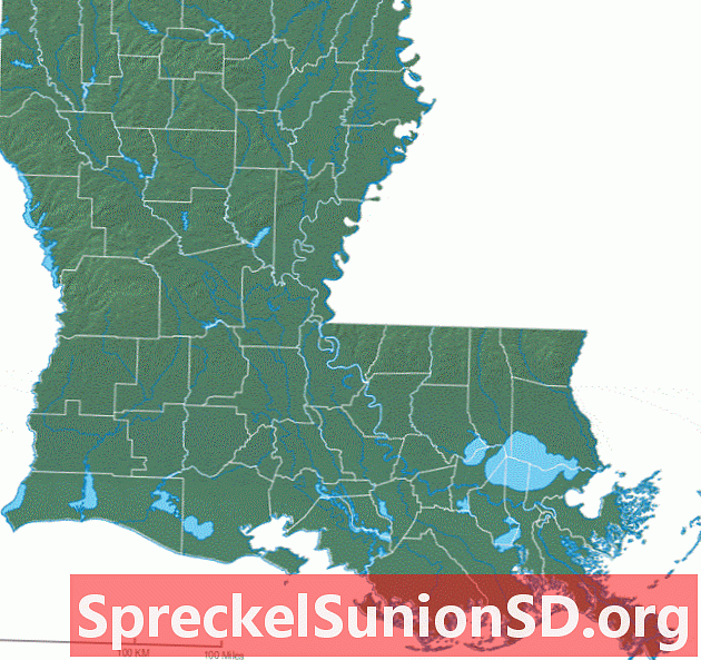 Физическая карта Луизианы