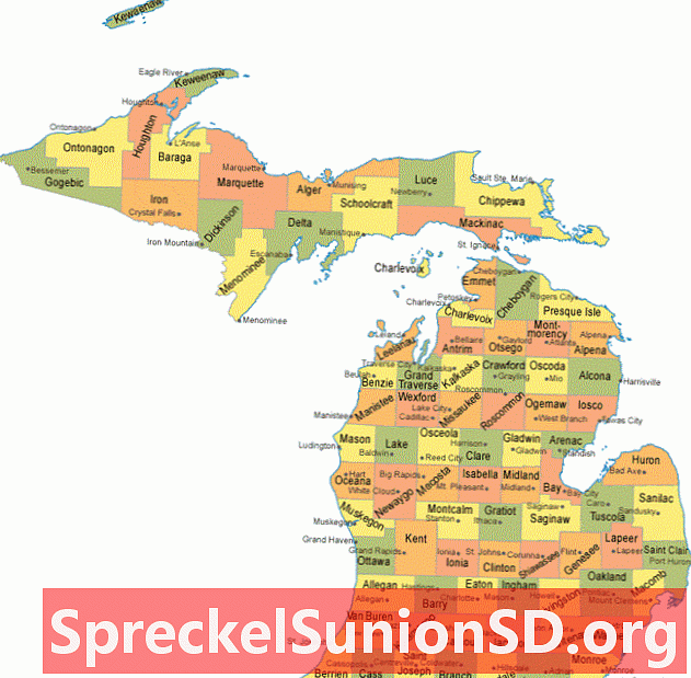 Michiganin läänin kartta County Seat -kaupungeista