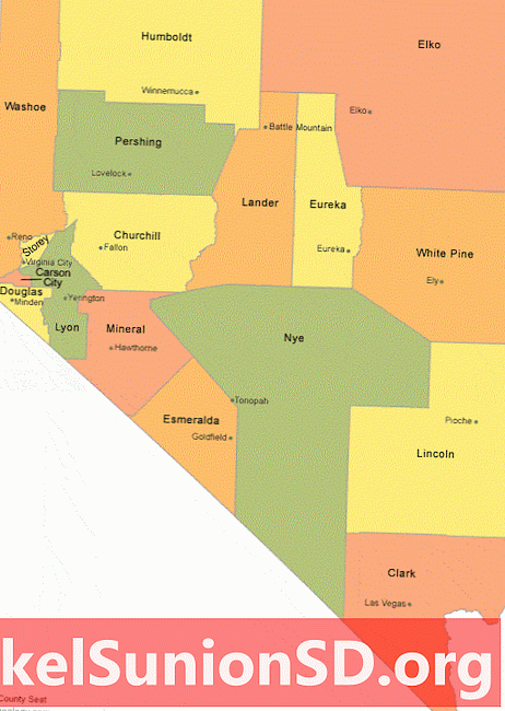 郡庁所在地のあるネバダ州の地図