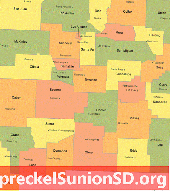 Mapa okruga New Mexico s gradovima okruga sjedišta