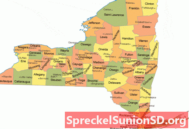 New Yorkin läänin kartta County Seat -kaupungeista