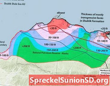 Aliaskos arktinio šiaurinio šlaito naftos ir gamtinių dujų skalūnai