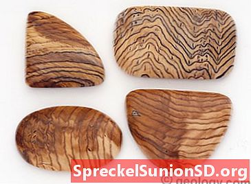 オパール化した木材：普通または貴重なオパールで構成された石化した木材