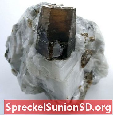 Phlogopite: gelsvos ar rudos spalvos magnio turtingas žėručio mineralas