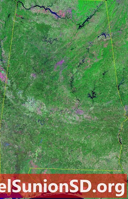 Сателитна снимка на Алабама