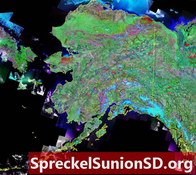 Alaska'nın Uydu Görüntüsü