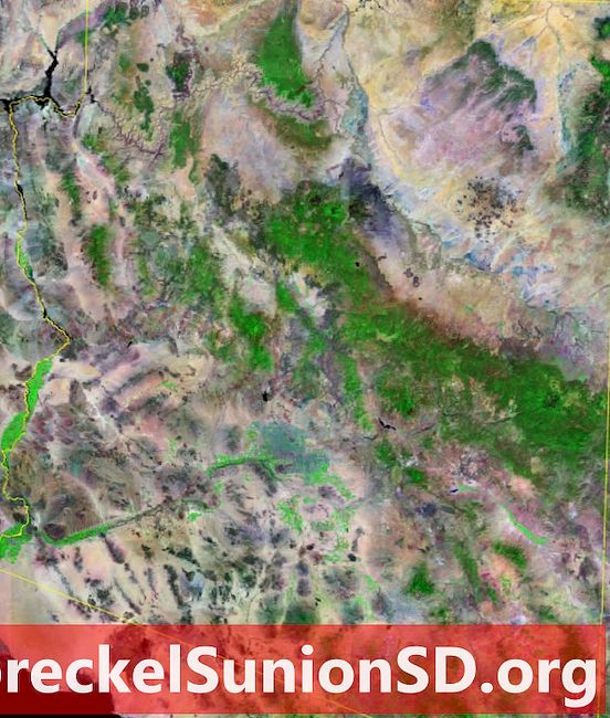 亚利桑那州的卫星图像