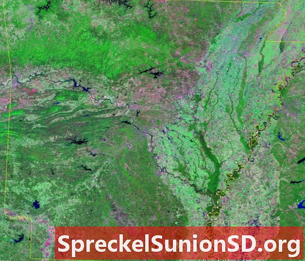 Image satellite de l'Arkansas