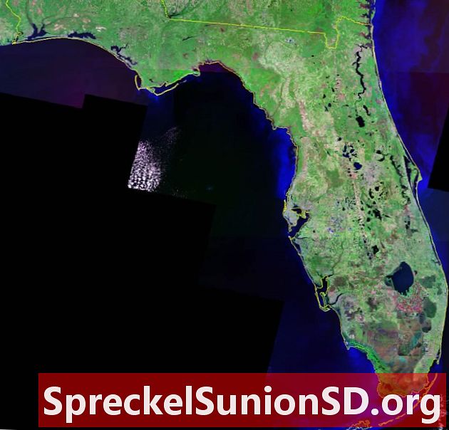 Satelitska slika Floride