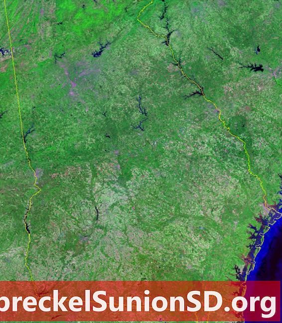 Satellitbillede af Georgien