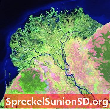 Selenga-floden og deltaet - kort og satellitbilleder