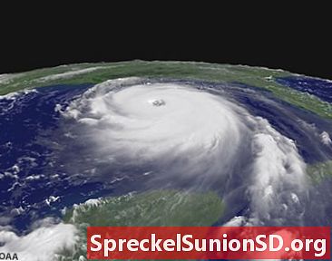 Tropical Storm Names - Hurricane Names - 2012 til 2021