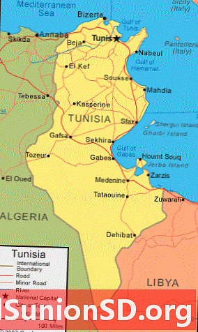 Mappa della Tunisia e immagine satellitare
