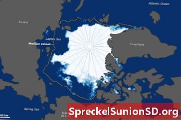 Где Арктика? Является ли его граница Полярным кругом?