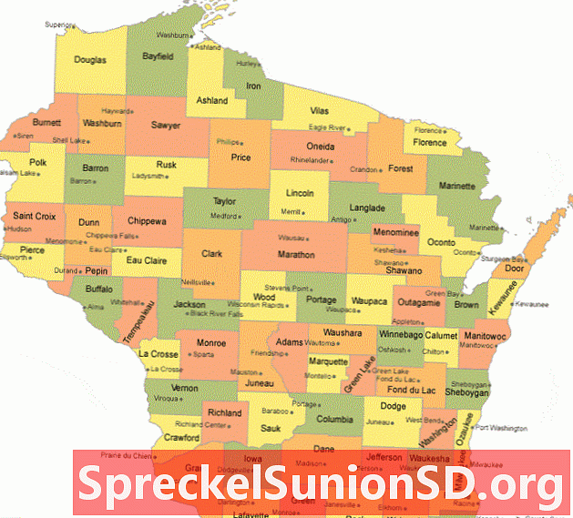 Mappa della contea di Wisconsin con le città capoluogo di contea